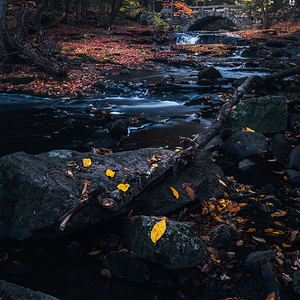 “Upstream Harmony” – Fall at Vaughan Woods, Hallowell