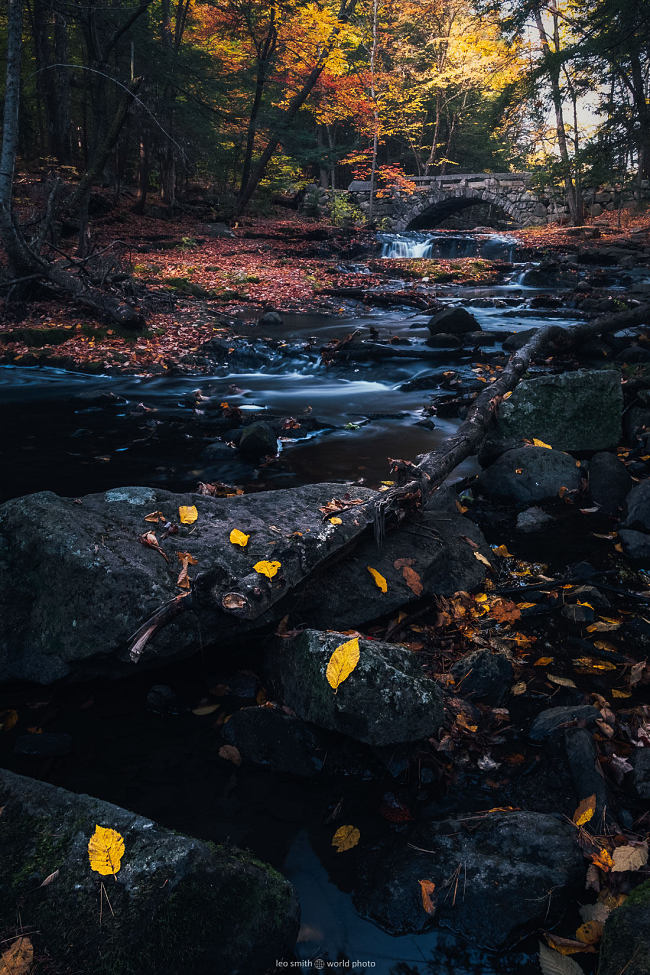 Leo Smith PhotoVideo | World Photo: New England Fall Photos and Prints: Fall Colors, Stone Bridges, and Cascading Streams at Vaughan Woods & Historic Homestead, Hallowell, Maine