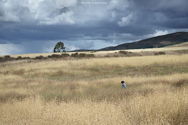 Leo Smith World Photo: Children Play Hide and Seek in the Fields - Maras, Peru