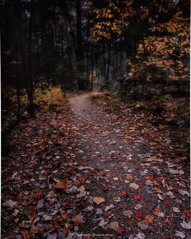 Leo Smith World Photo: Maine Photos and Prints -- Wolfes Neck Woods State Park during the autumn fall