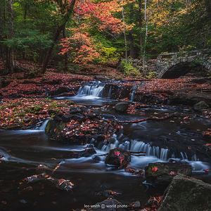 “Flow” – Vaughan Woods & Historic Homestead, Hallowell