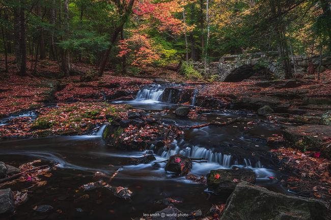 Leo Smith PhotoVideo | World Photo: New England Fall Photos and Prints: Fall Colors, Stone Bridges, and Cascading Streams at Vaughan Woods & Historic Homestead, Hallowell, Maine