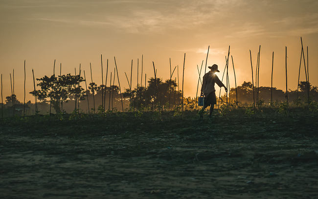 Leo Smith Photo Video: A farmer waters his crops at sunset, Hpa-An, Myanmar (Burma)