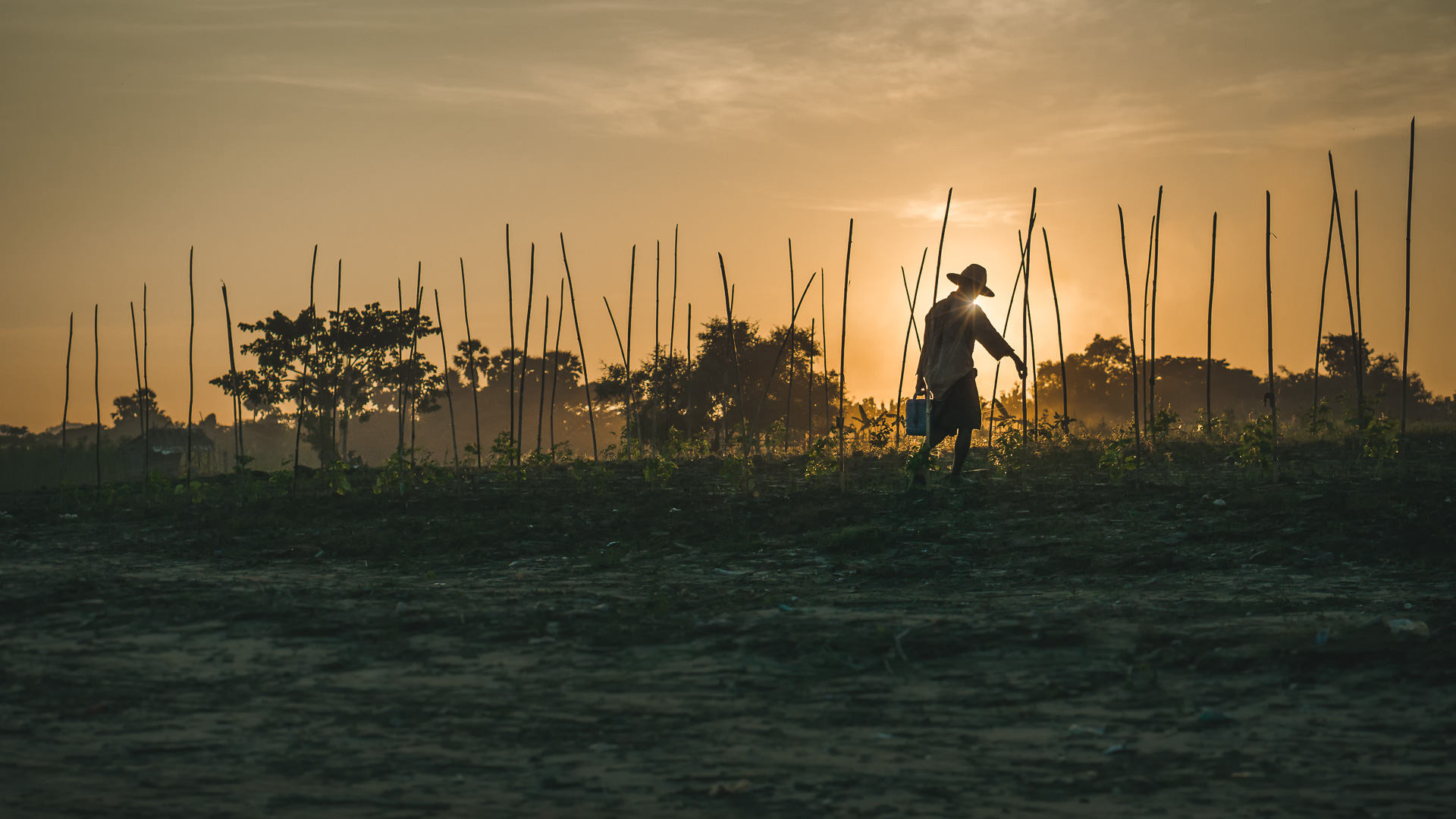 Leo Smith Photo Video: A farmer waters his crops at sunset, Hpa-An, Myanmar (Burma)