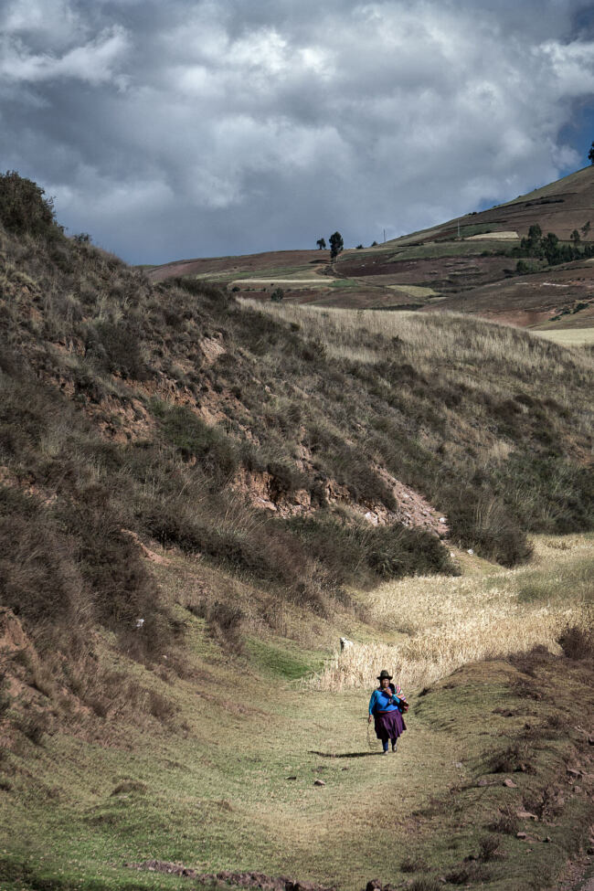 Leo Smith World Photo - A Farmer Decends the Valley, Maras, Peru